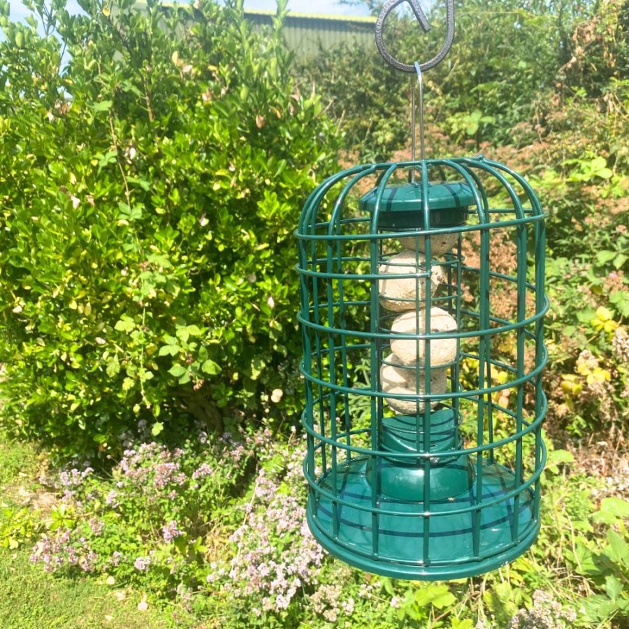 Premium Guardian - Fat Ball Feeder for Birds